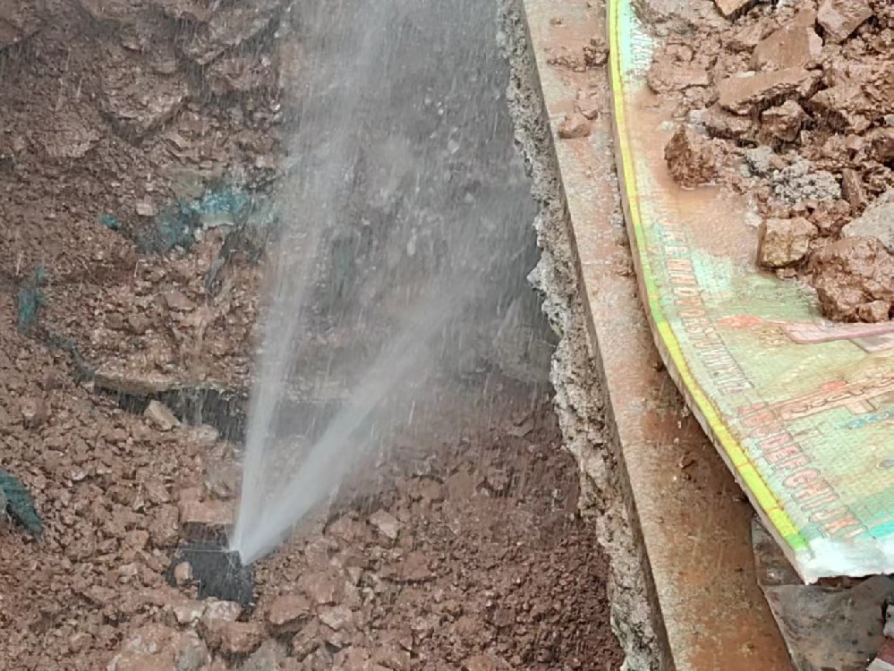 常德市西洞庭管理区消防水管漏水检测定点开挖